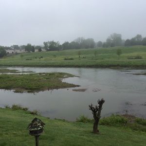 Meet your Posher, Timothy